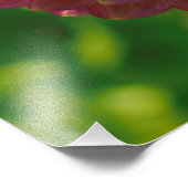 Im Garten von Dahlia 1 Fotodruck (Ecke)