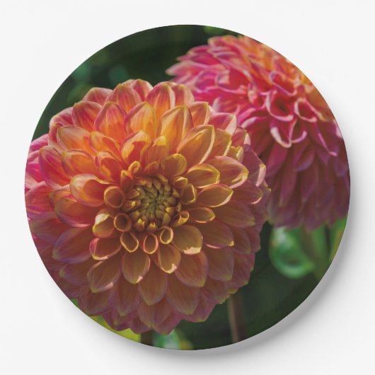 Im Garten von Dahlia 1 Pappteller (Vorderseite)