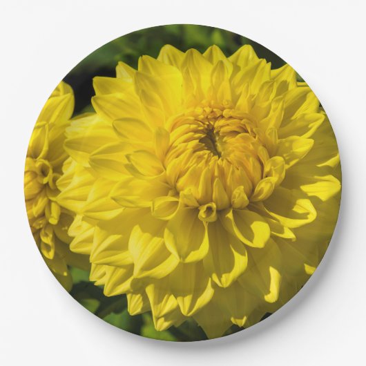 Im Garten von Dahlia 3 Pappteller (Vorderseite)
