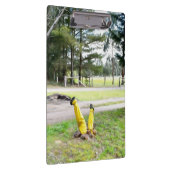 Im Garten wieder verloren Klemmbrett (Rechts)