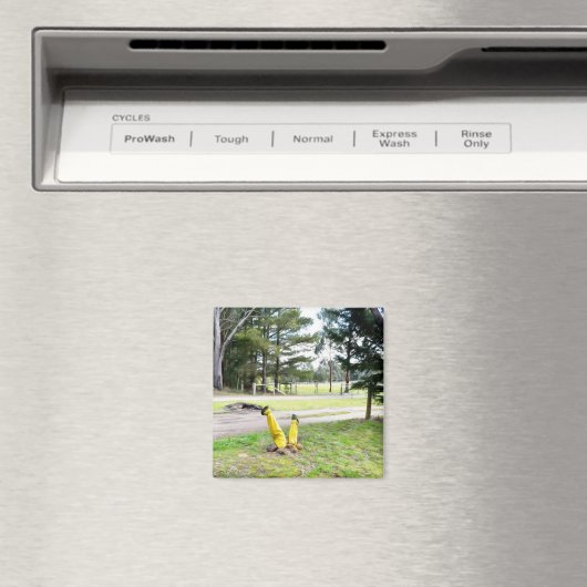 Im Garten wieder verloren Magnet (In Situ (Geschirrspüler))