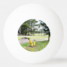 Im Garten wieder verloren Tischtennisball