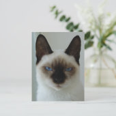 Im Gedächtnis der ushu-Postkarte Postkarte (Stehend Vorderseite)