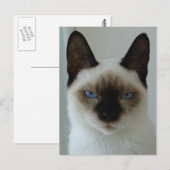 Im Gedächtnis der ushu-Postkarte Postkarte (Vorne/Hinten)