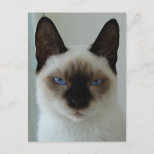 Im Gedächtnis der ushu-Postkarte Postkarte