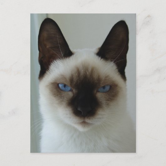 Im Gedächtnis der ushu-Postkarte Postkarte (Vorderseite)