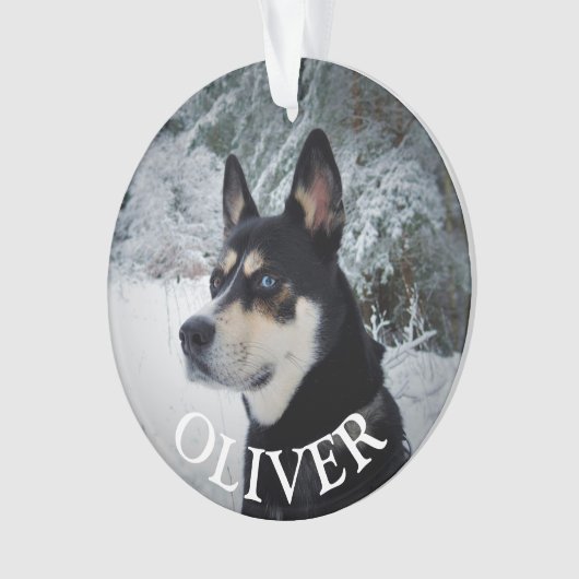 Im Gedächtnis des Hundes an Weihnachten Ornament (Vorderseite)