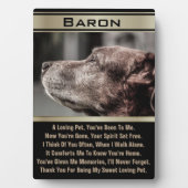 Im Gedächtnis eines verlorenen Hauses Fotoplatte (Vorderseite)