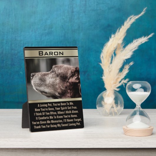 Im Gedächtnis eines verlorenen Hauses Fotoplatte (Seite)