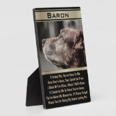 Im Gedächtnis eines verlorenen Hauses Fotoplatte (Seite)