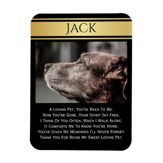 im Gedächtnis eines verlorenen Haustiers Magnet (Vertikal)