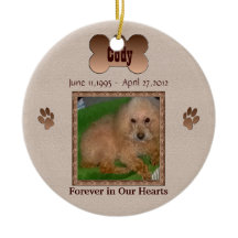 Im Gedächtnis Ihres Hundes