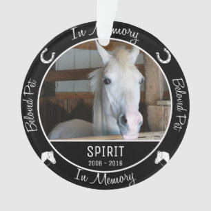 Im Gedächtnis - Verlust des Pferdedes Ornament