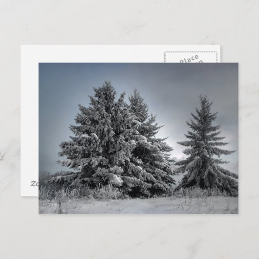 Im Geist des Winters Postkarte (Vorne/Hinten)