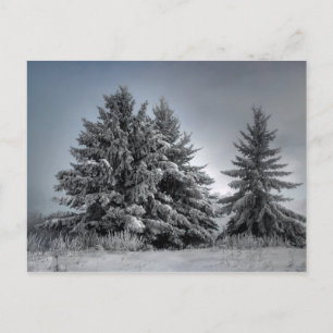 Im Geist des Winters Postkarte