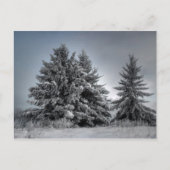 Im Geist des Winters Postkarte (Vorderseite)