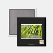 im Gras Magnet (Vorderseite/Rückseite)