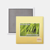 im Gras Magnet (Vorderseite/Rückseite)