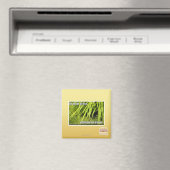 im Gras Magnet (In Situ (Geschirrspüler))