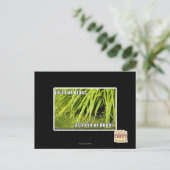 im Gras Postkarte (Stehend Vorderseite)