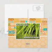 im Gras Postkarte (Vorne/Hinten)