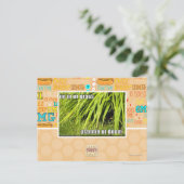 im Gras Postkarte (Stehend Vorderseite)