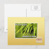 im Gras Postkarte (Vorne/Hinten)