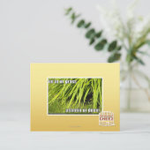 im Gras Postkarte (Stehend Vorderseite)