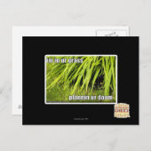 im Gras Postkarte (Vorne/Hinten)