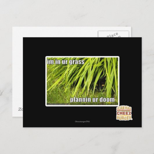 im Gras Postkarte (Vorne/Hinten)