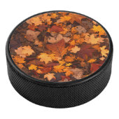 im Herbst Eishockey Puck (3/4)