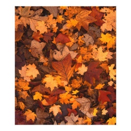 im Herbst Fotodruck