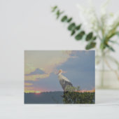 im Herbst gewartet Postkarte (Stehend Vorderseite)