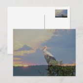 im Herbst gewartet Postkarte (Vorne/Hinten)