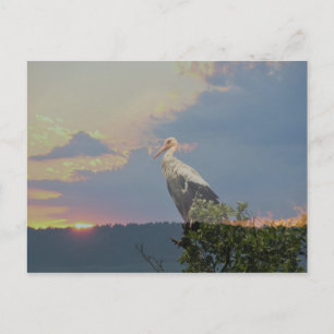 im Herbst gewartet Postkarte