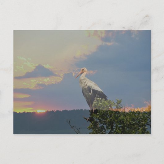 im Herbst gewartet Postkarte (Vorderseite)