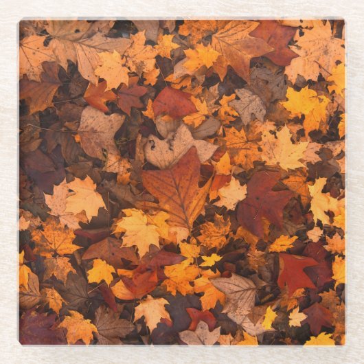 im Herbst Glasuntersetzer (Vorderseite)