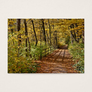 Im Herbst in Wienerwald