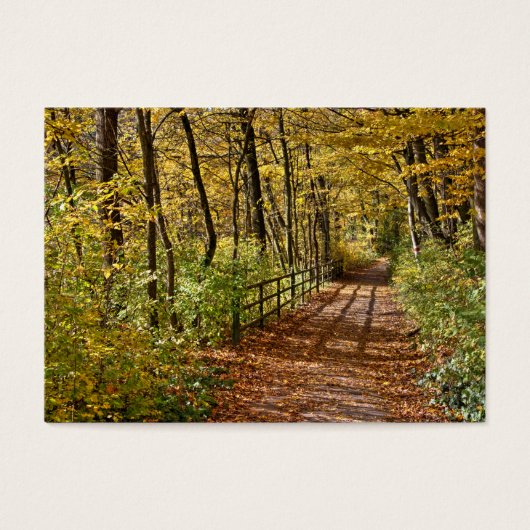 Im Herbst in Wienerwald (Vorderseite)