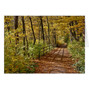 Im Herbst in Wienerwald