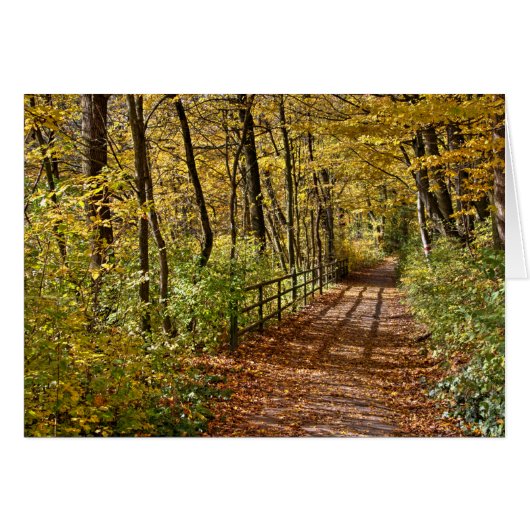 Im Herbst in Wienerwald (Vorderseite (Horizontal))