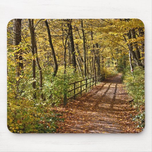 Im Herbst in Wienerwald Mousepad (Vorne)