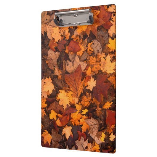 im Herbst Klemmbrett (Links)