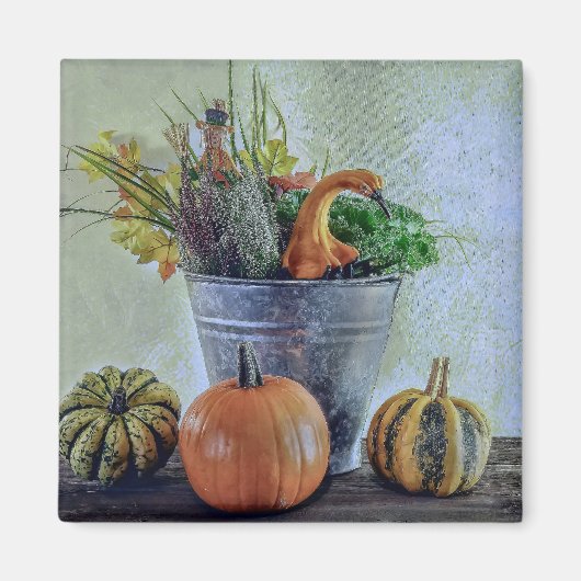 Im Herbst noch Leben mit Kürbis, Blume Magnet (Vorne)