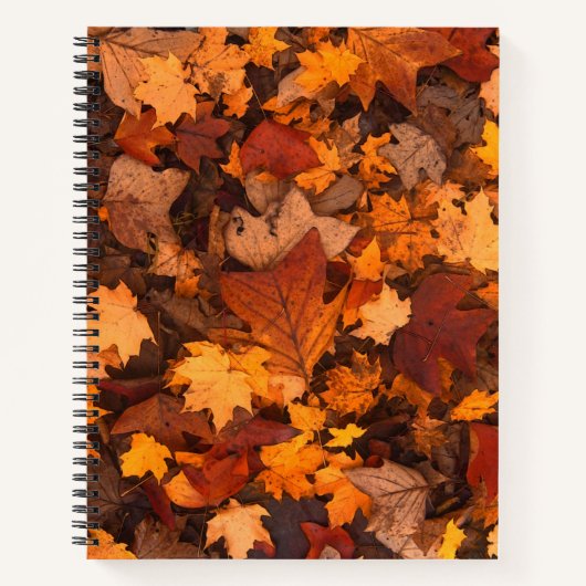 im Herbst Notizblock (Vorderseite)