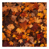 im Herbst Poster (Vorderseite)