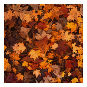 im Herbst Poster