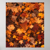 im Herbst Poster (Vorne)