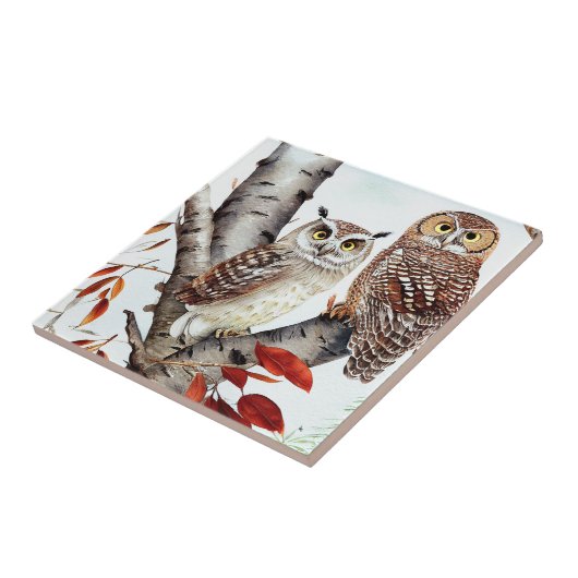 Im Herbst sitzen Eulen in einem Weißen Birkenbaum Fliese (Seite)