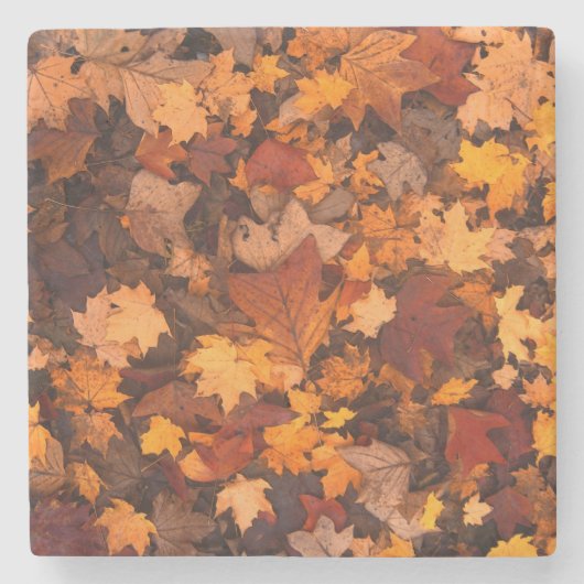 im Herbst Steinuntersetzer (Vorderseite)